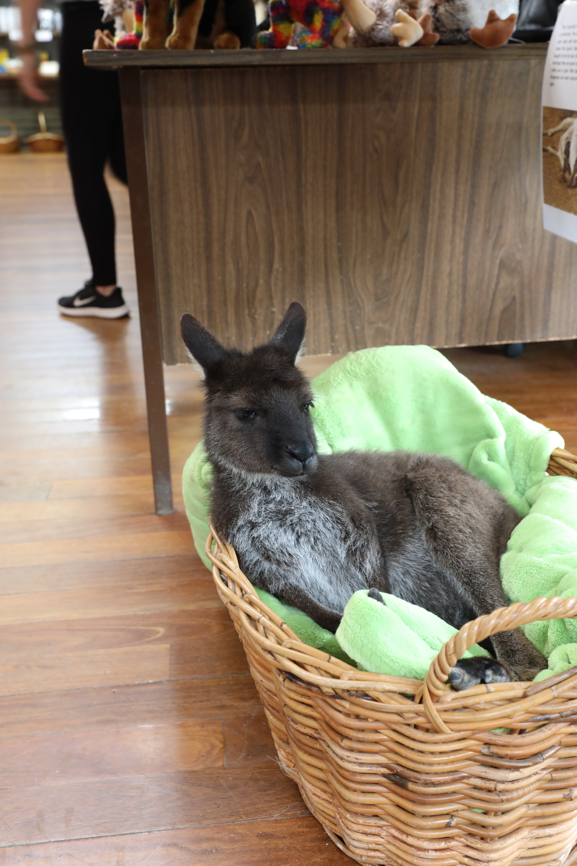 2019 10 04 15 15 05 Canon EOS 5D Mark IV 0026